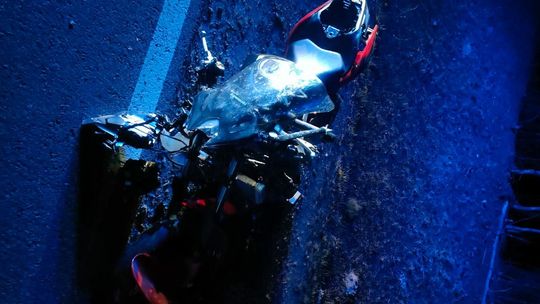 Zderzenie motocykla z łosiem. Kierująca jednośladem walczy o życie