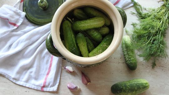 Zdrowo Poinformowani - kiszonki i ich wpływ na zdrowie