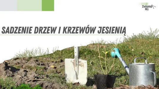 Zielono mi! - Sadzenie drzew i krzewów jesienią