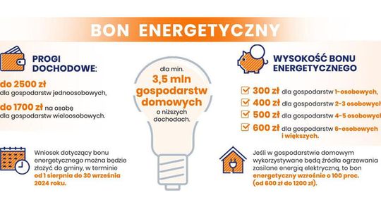 Złóż wniosek o bon energetyczny w Gąbinie