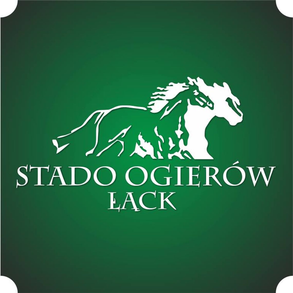 100 - lecie Stada Ogierów w Łącku