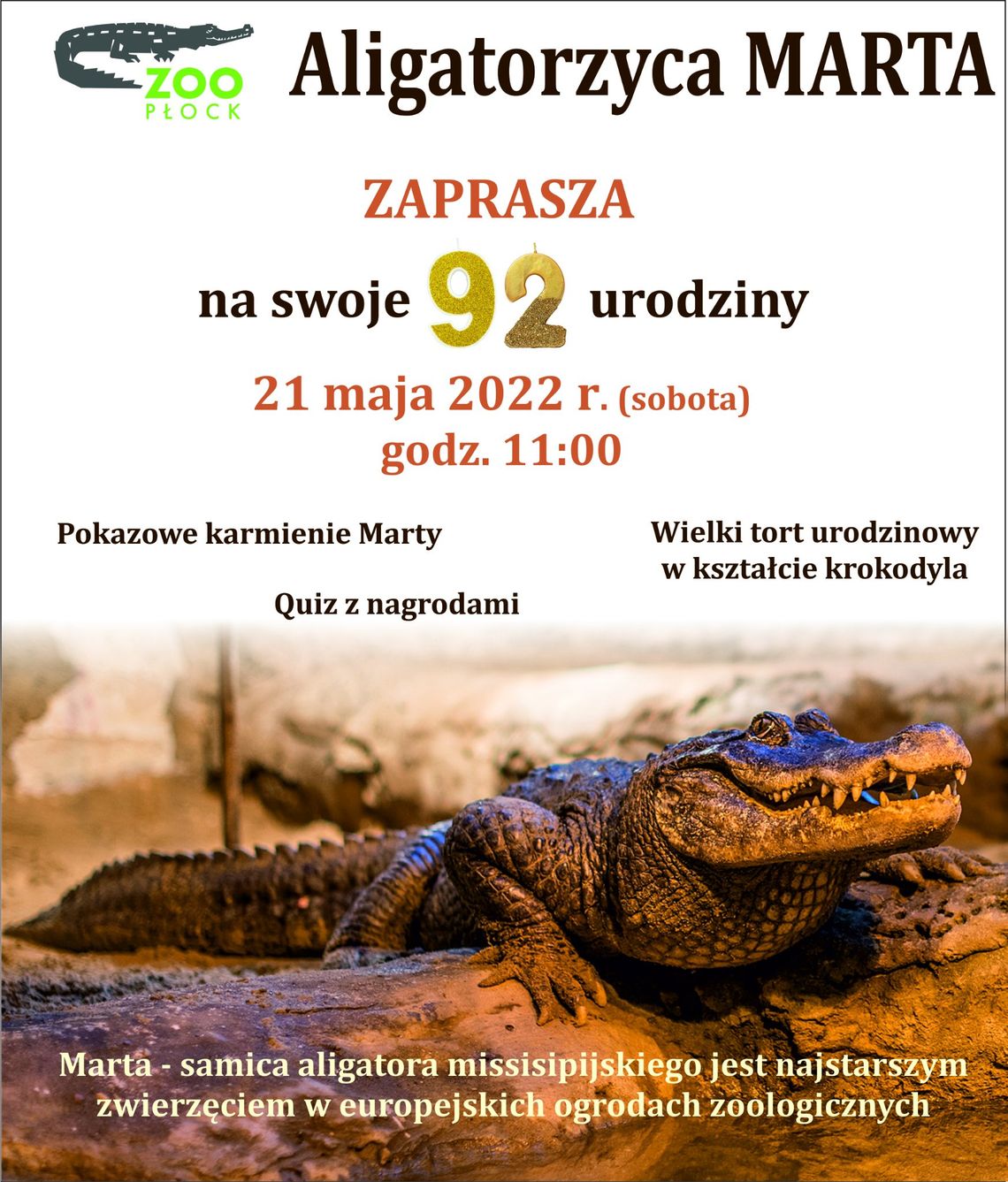 92. Urodziny aligatorzycy Marty