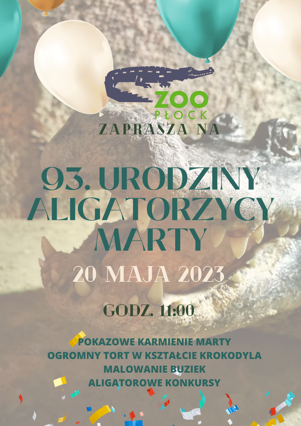 93. Urodziny aligatorzycy Marty