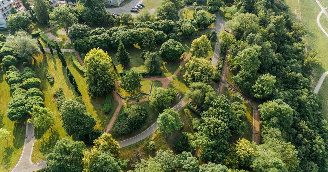 Abisynia rozbłyśnie pełnym blaskiem
