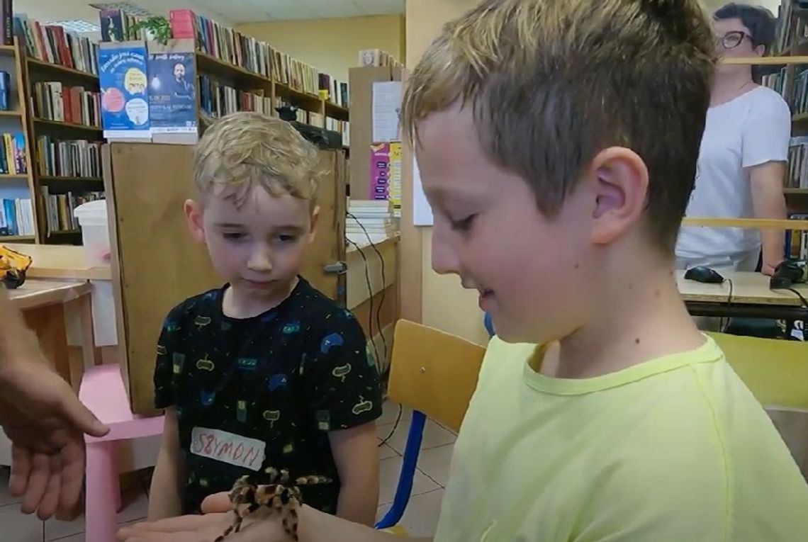 🦎🐍🐢 Bez Komentarza - Zwierzakoluby 🦎🐍🐢 Bez Komentarza - Zwierzakoluby