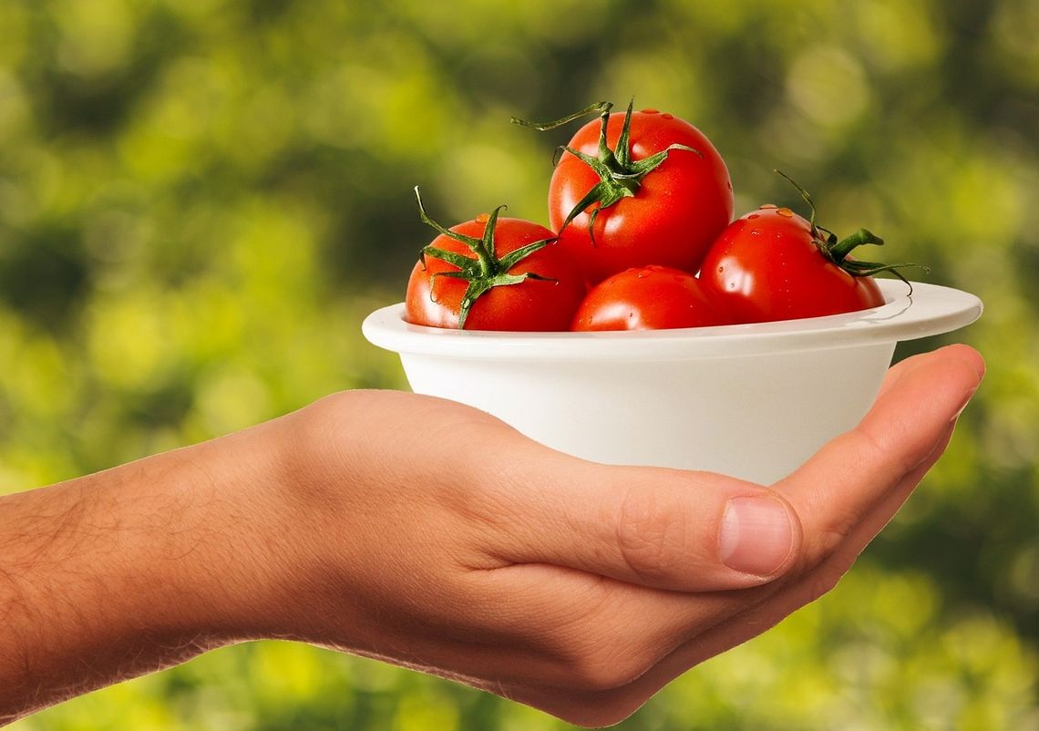 Dieta Cud - pomidory, czyli sekret zdrowia na talerzu