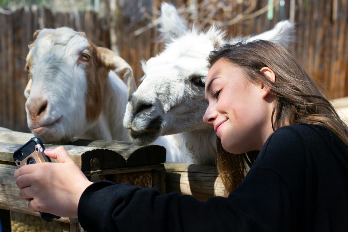 Dzień Miłośników Zoo