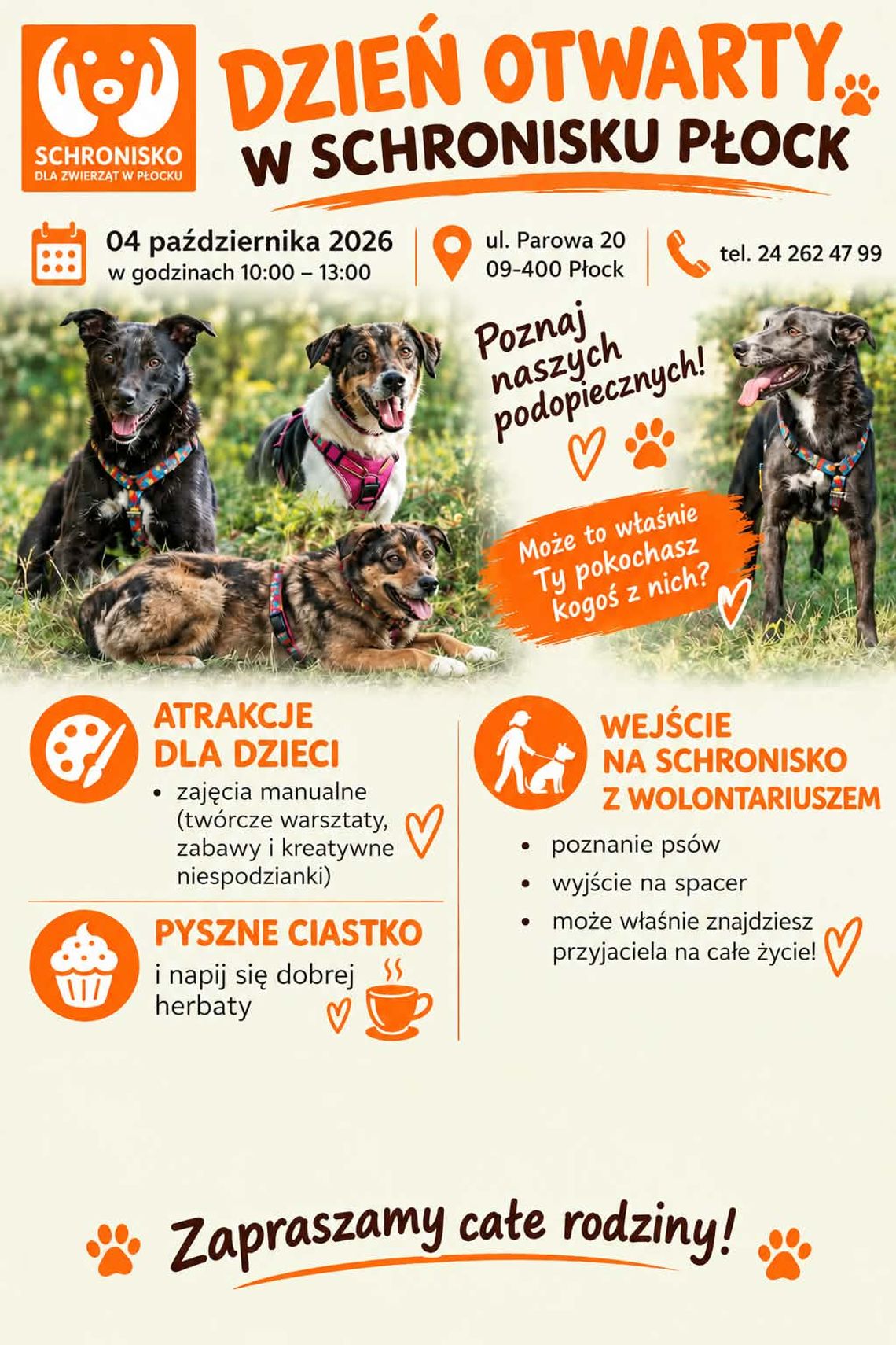 Dzień otwarty w schronisku Dzień otwarty w schronisku