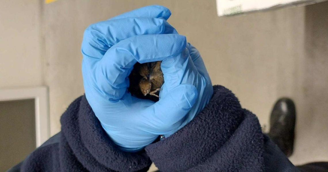 Empatyczny pracownik marketu Empatyczny pracownik marketu