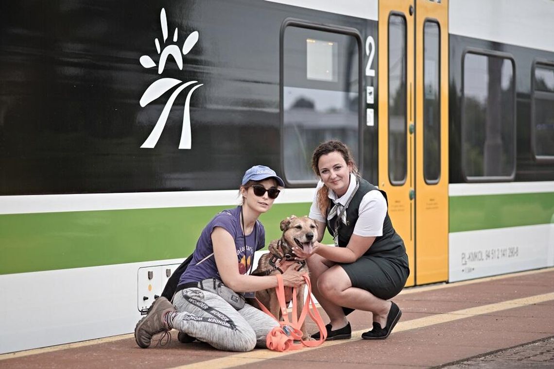 Koleje Mazowieckie na Warszawskim Dniu Zwierząt