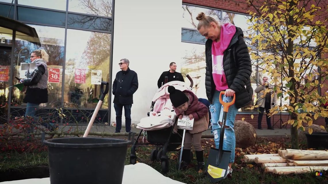 Kolejne drzewa młodych płocczan! Gdzie się znajdują?