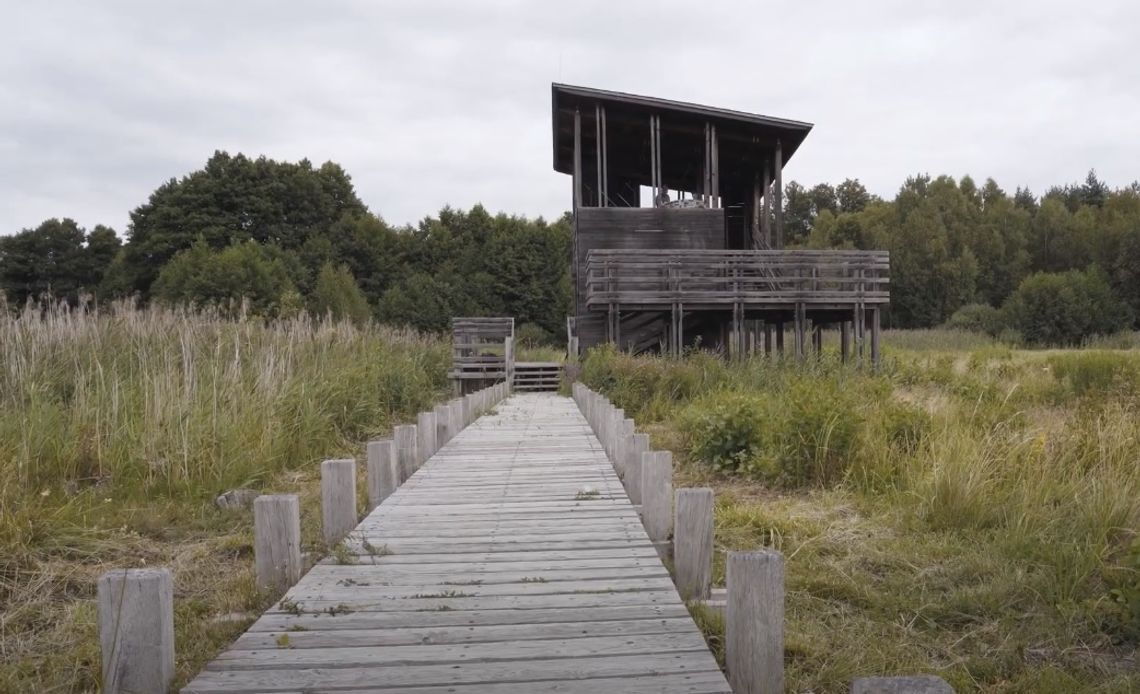 🧳🏕🏞Mazowsze na Weekend - Kampinos - odcinek 4
