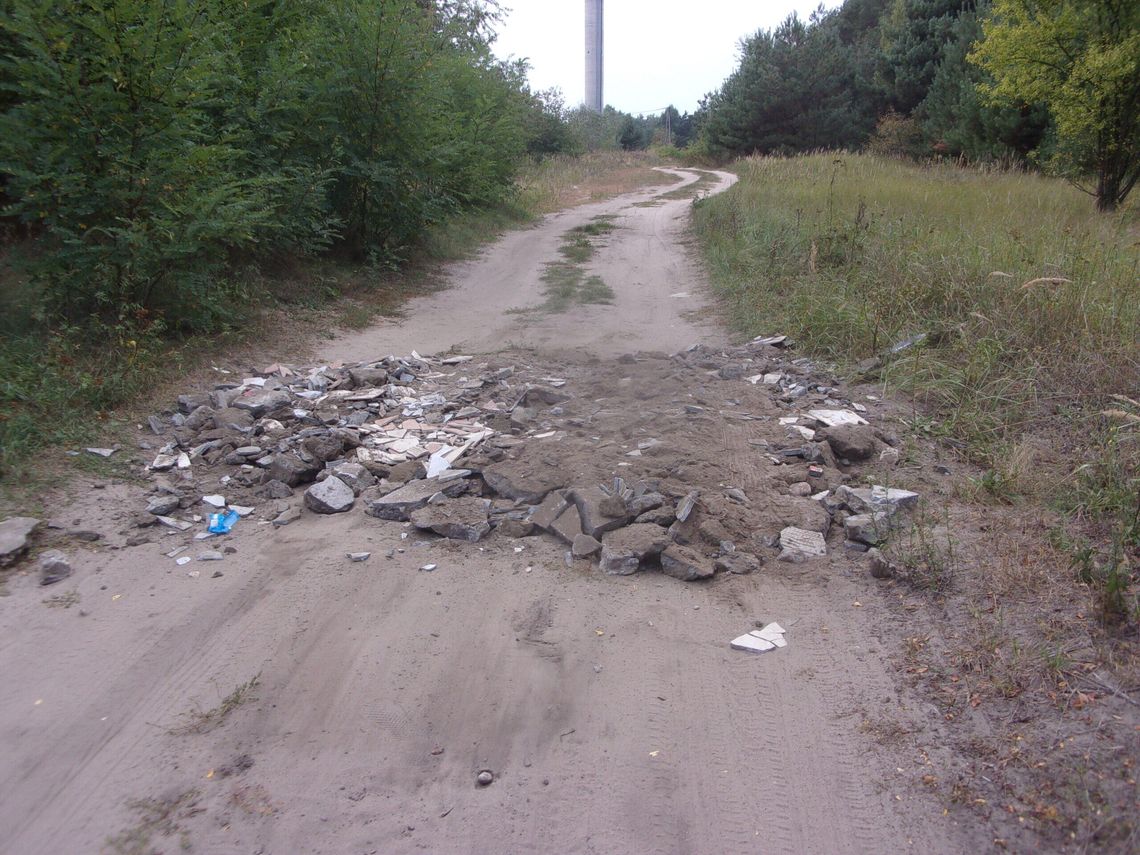 Mężczyzna wpadł na pomysł, żeby samodzielnie utwardzić drogę w lesie