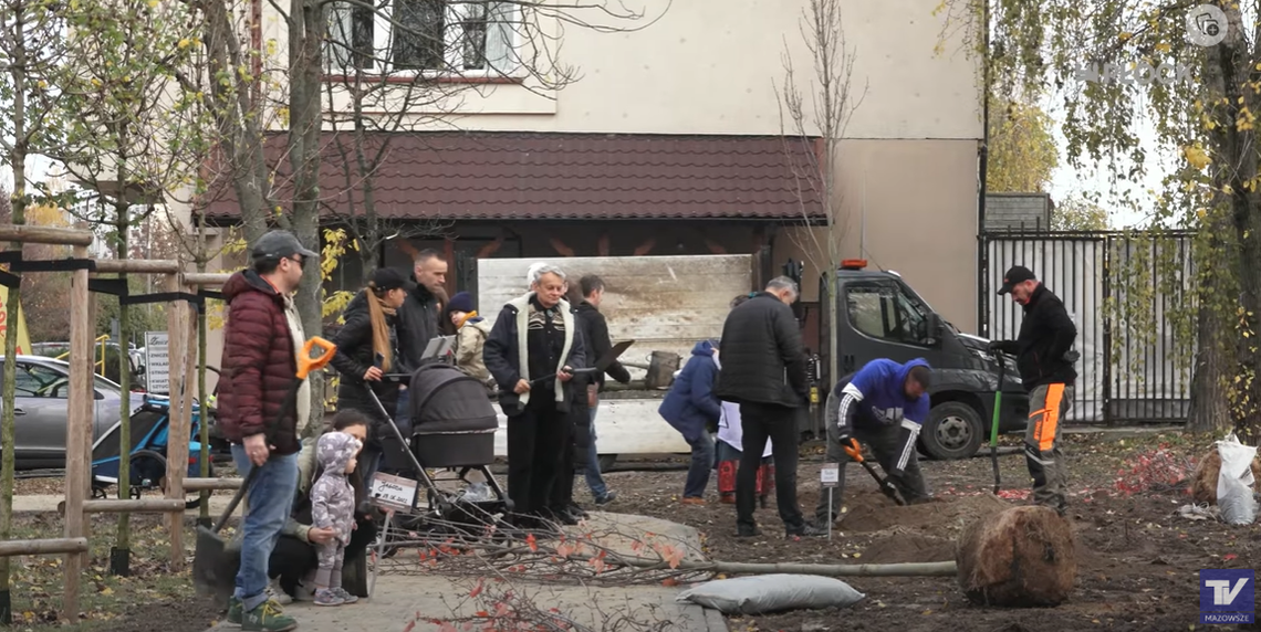 MiastO!Żyje - Nasadzenia Młodych Płocczan, ,,Marcelinki'' w SP nr 24 - 10.11.2023
