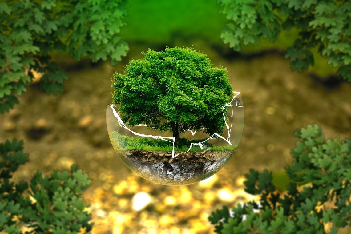 Młodzieżowy Strajk Klimatyczny - Młodzież mówi “TAK” edukacji klimatycznej