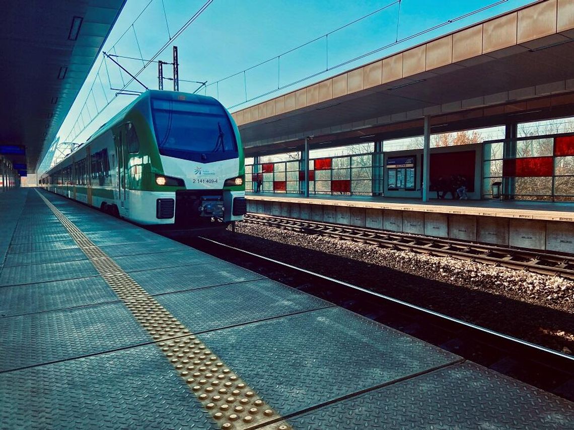 Nieodpłatne przejazdy dla kibiców na mecz Polska - Niemcy