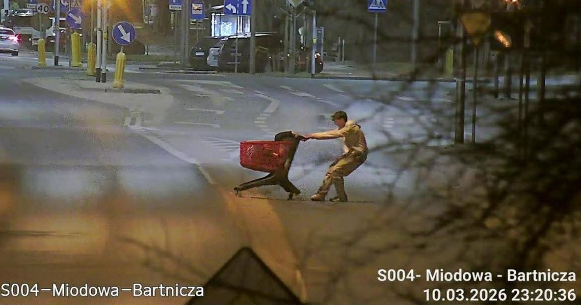 Nietypowy towar w sklepowym wózku