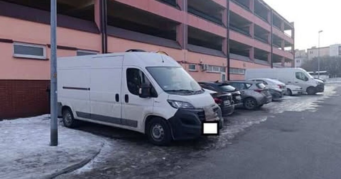 Pies w zamkniętym aucie na mrozie