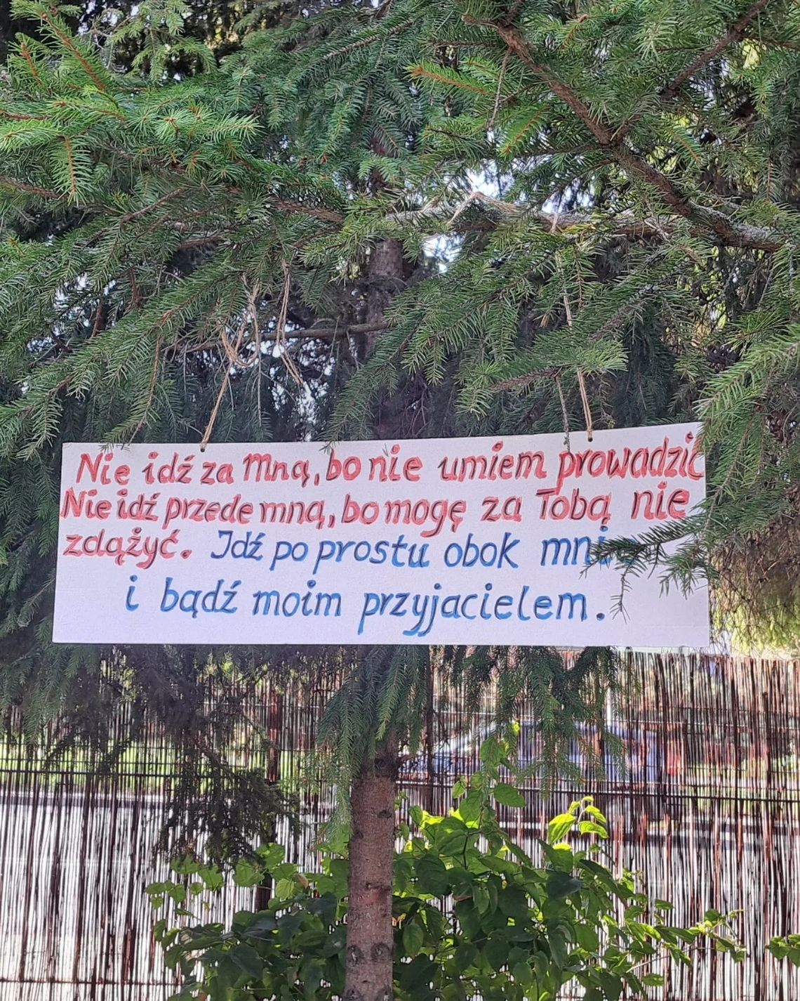 Piknik Integracyjny "Pożegnanie lata w stylu Eko"