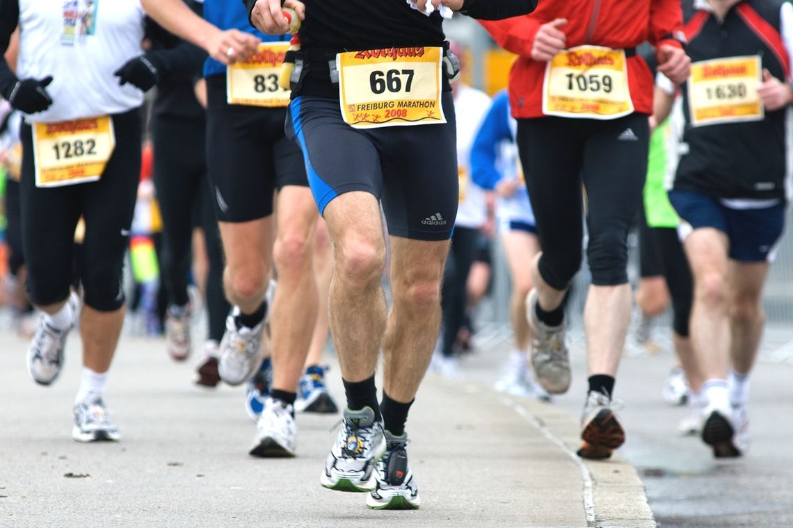Płock biegową stolicą – ponad 900 uczestników w Półmaratonie Dwóch Mostów