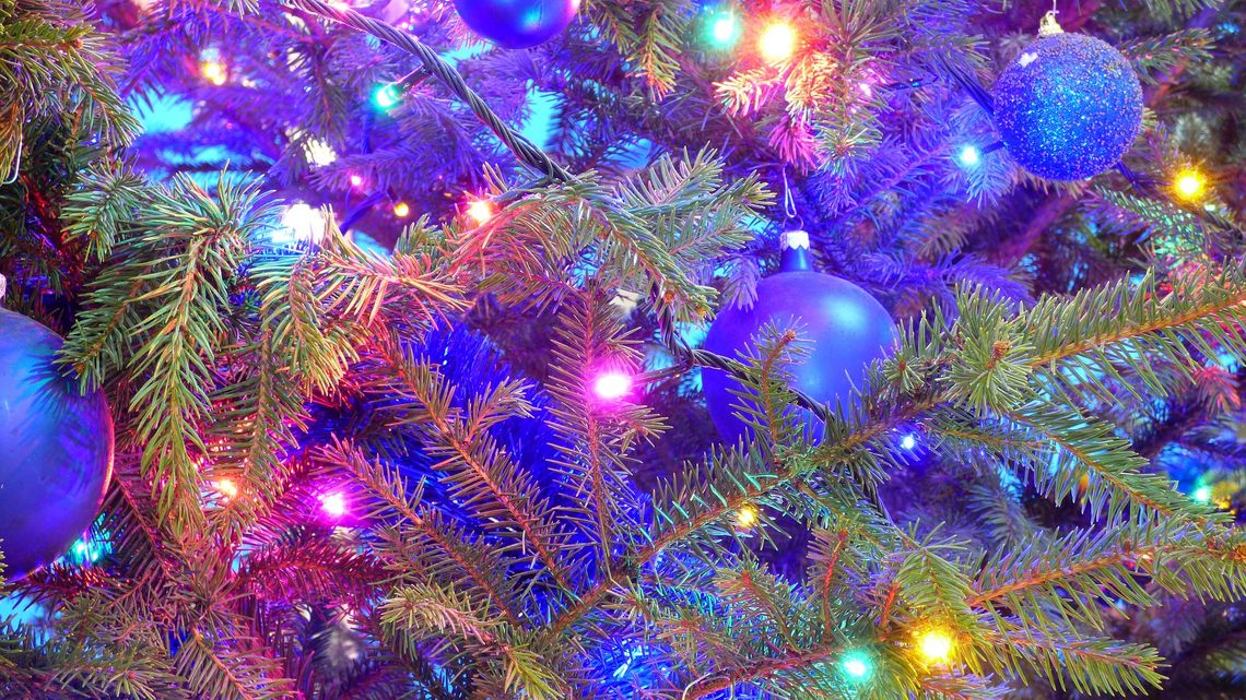 Płockie ulice znowu rozświetli świąteczna magia!