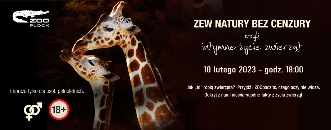 Płockie ZOO zaprasza na oryginalny wieczór tuż przed Walentynkami!