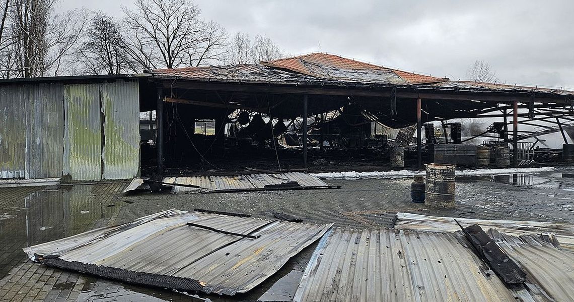 Pożar na kultowej plaży Pożar na kultowej plaży
