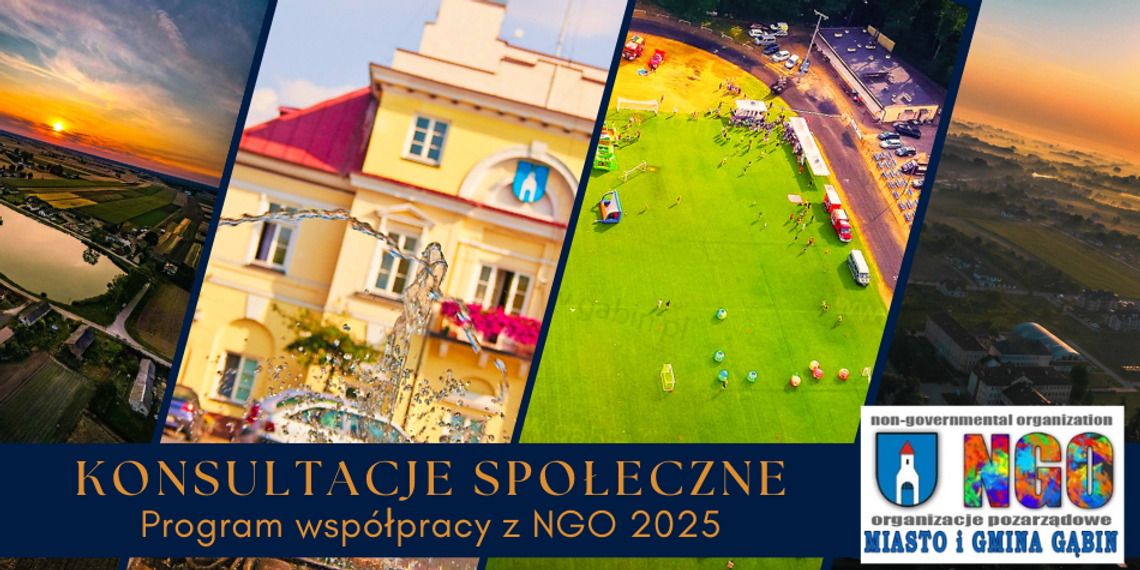 Program współpracy miasta i gminy Gąbin z organizacjami pozarządowymi na rok 2025