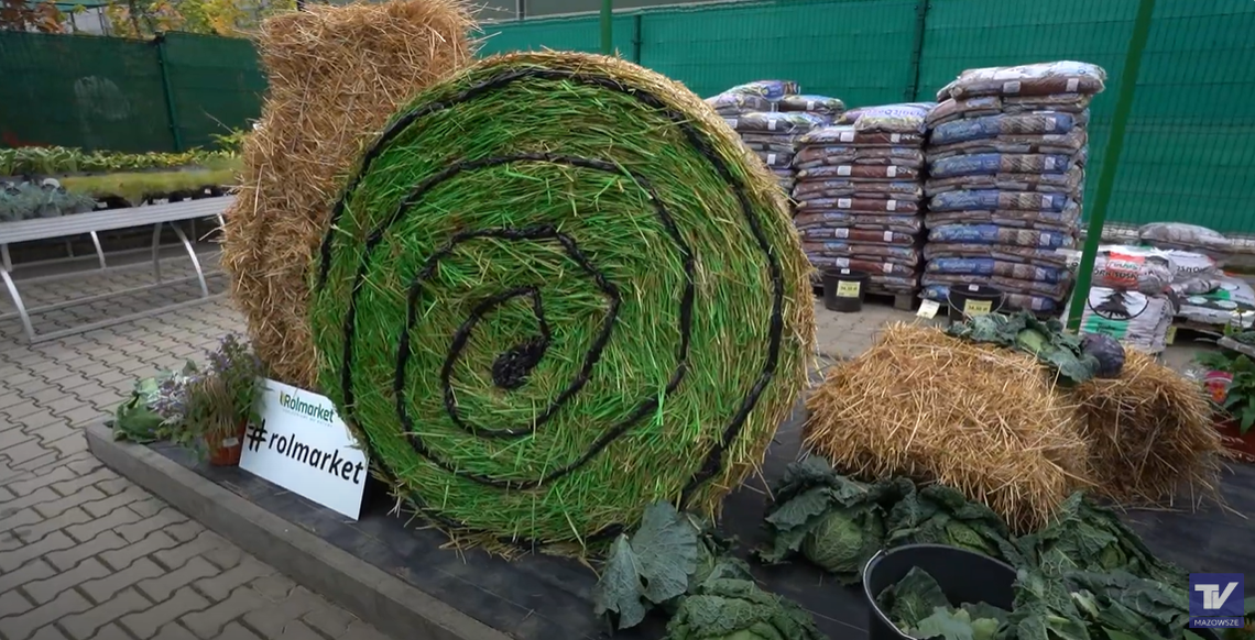 ROLMARKET - Dzień Kapusty