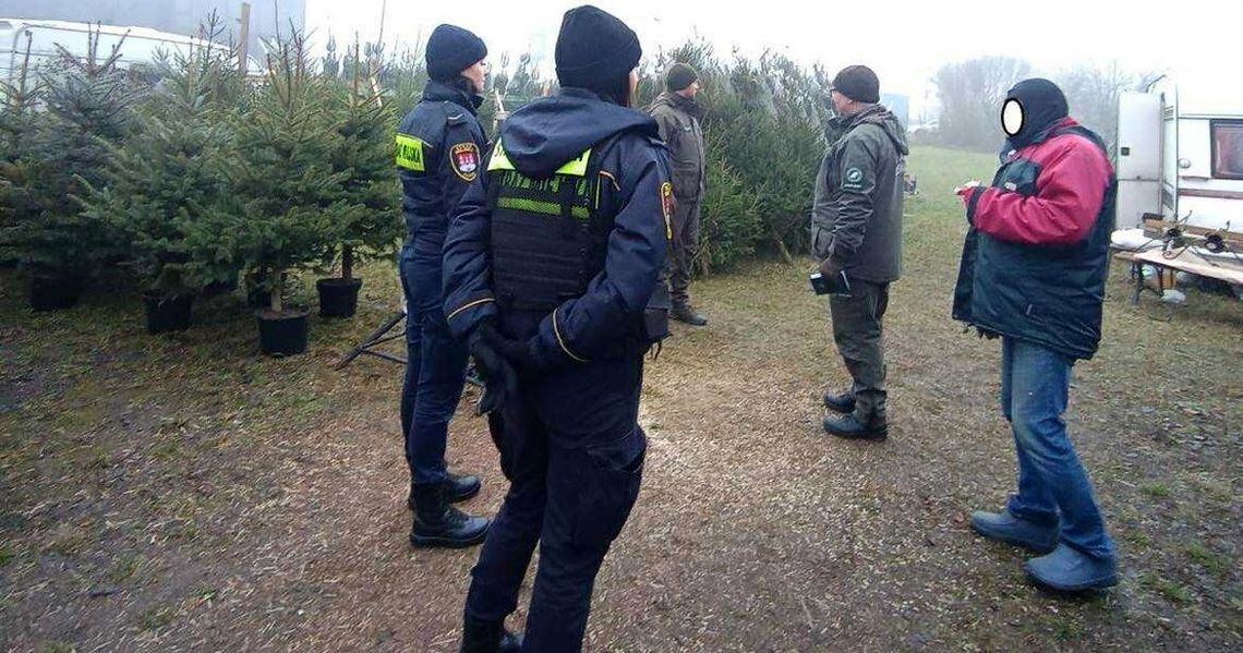 Ruszyła akcja choinka