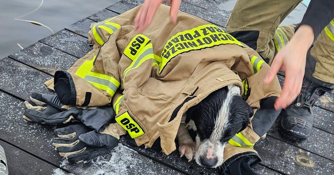 Strażacy w nietypowej akcji