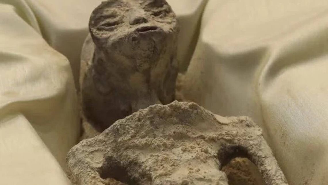 Ufolog pokazał światu ,,obce ciała”