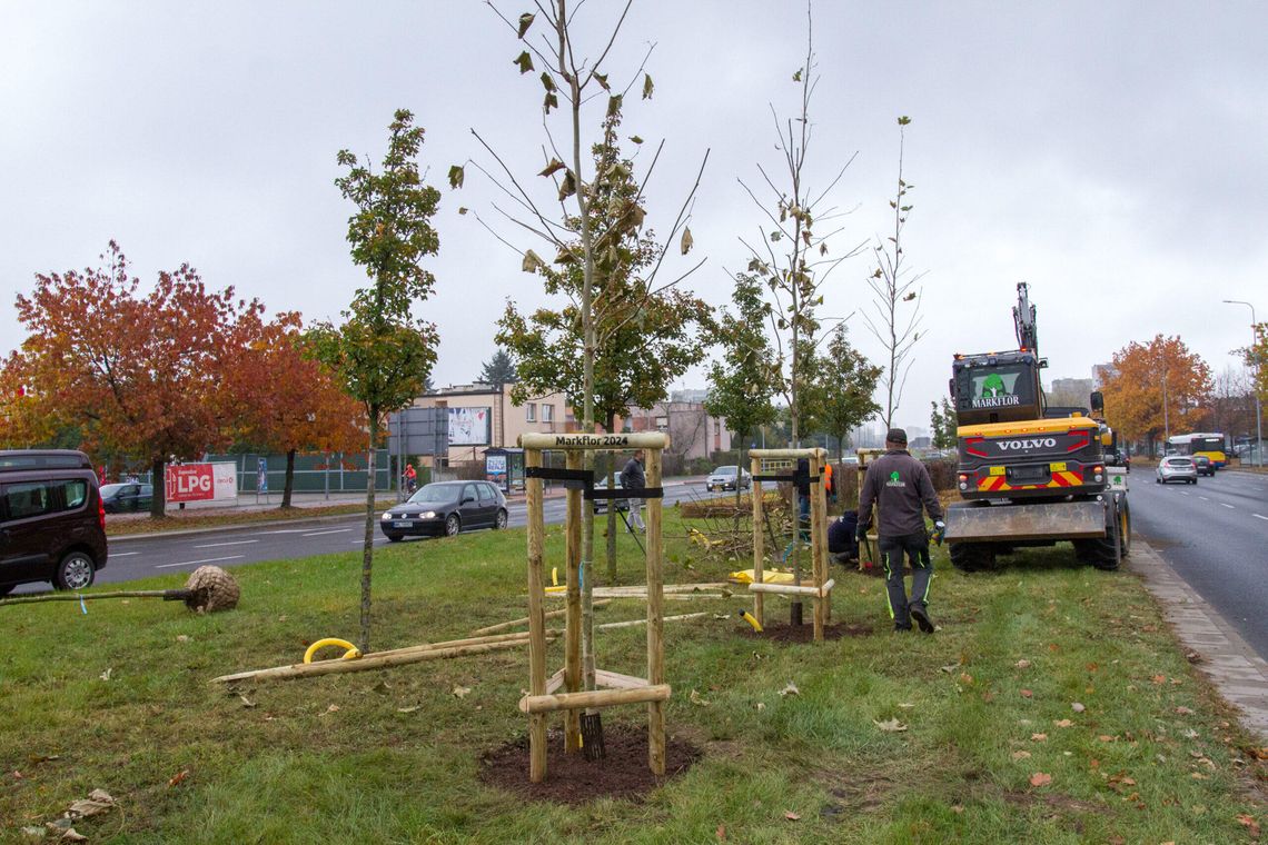 W Płocku pojawią się nowe planty