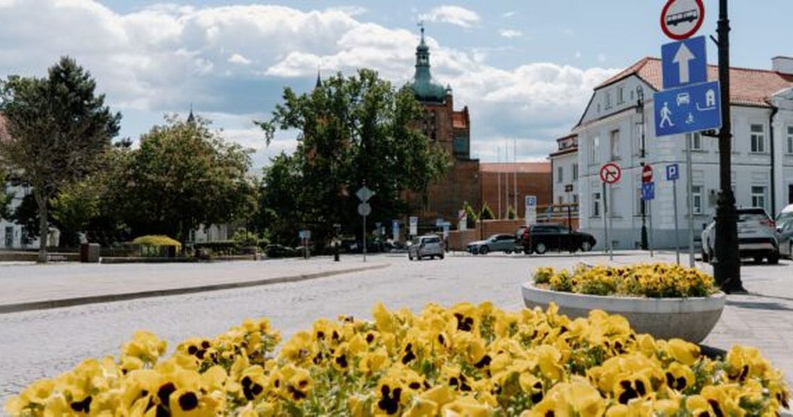 Władze miasta rozdają kwiatki