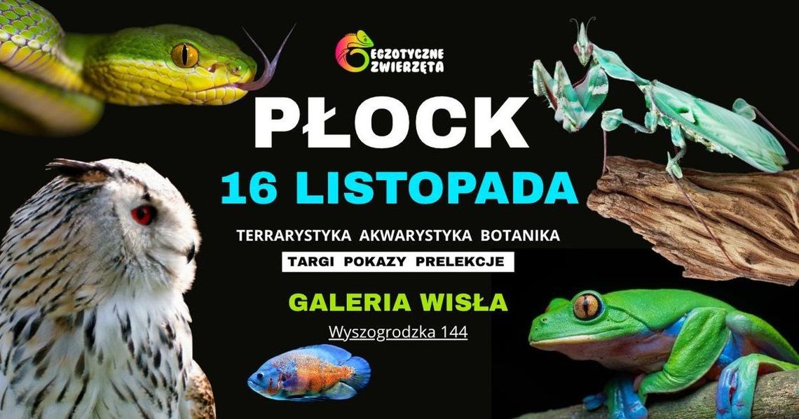 Wszystkie stworzenia straszne i straszniejsze Wszystkie stworzenia straszne i straszniejsze