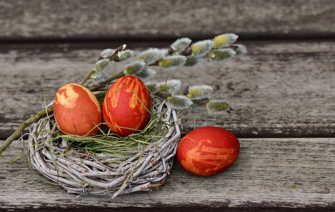 🐰🤩🐣 Wydanie Specjalne - Wielkanoc 2023