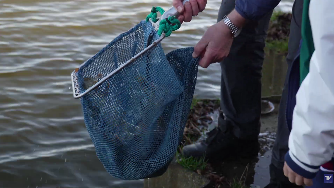 „Zarybiamy – Wiśle pomagamy”: 3500 młodych szczupaków wróciło do rzeki