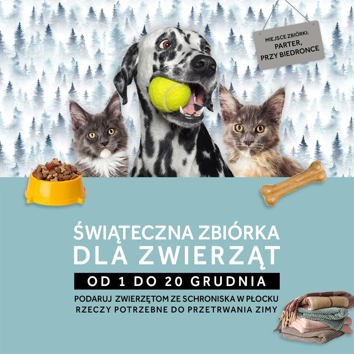 Zbiórka na rzecz bezdomnych zwierząt w Atrium Mosty!