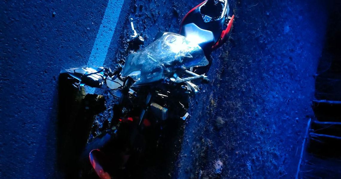 Zderzenie motocykla z łosiem. Kierująca jednośladem walczy o życie