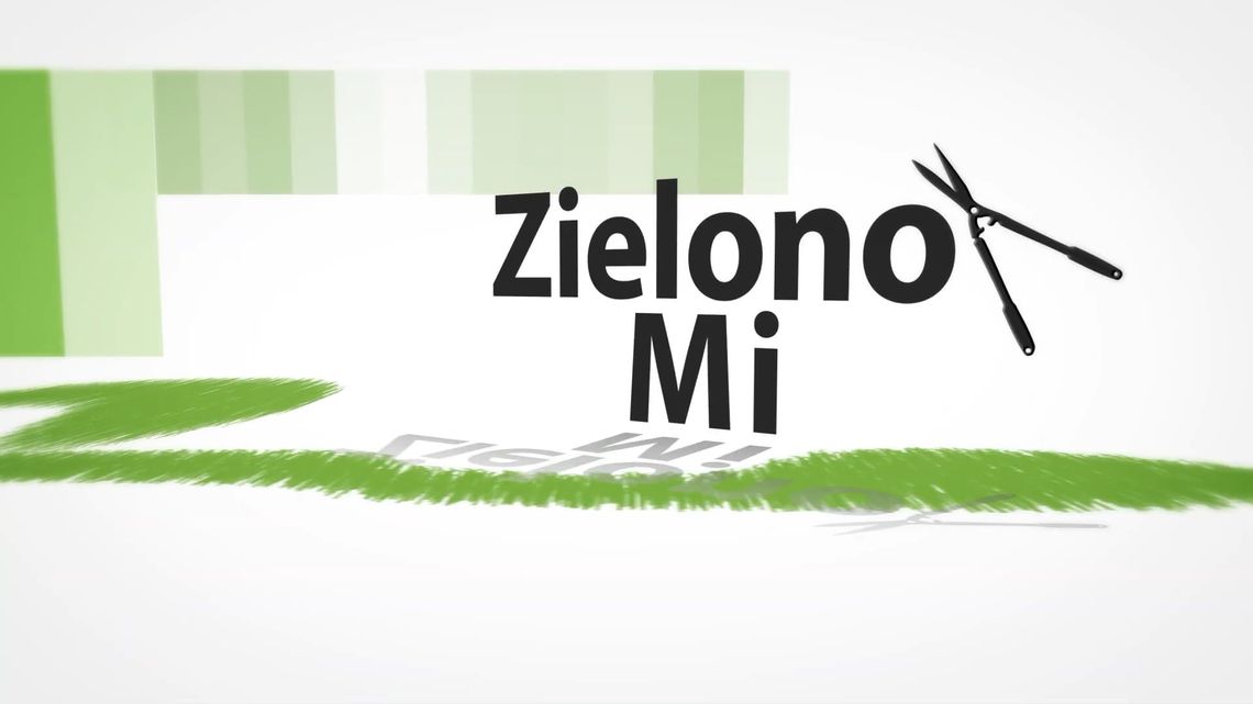 Zielono mi! - Lipiec w warzywniku, czyli co siać, co zbierać, o czym nie zapomnieć Zielono mi! - Lipiec w warzywniku, czyli co siać, co zbierać, o czym nie zapomnieć