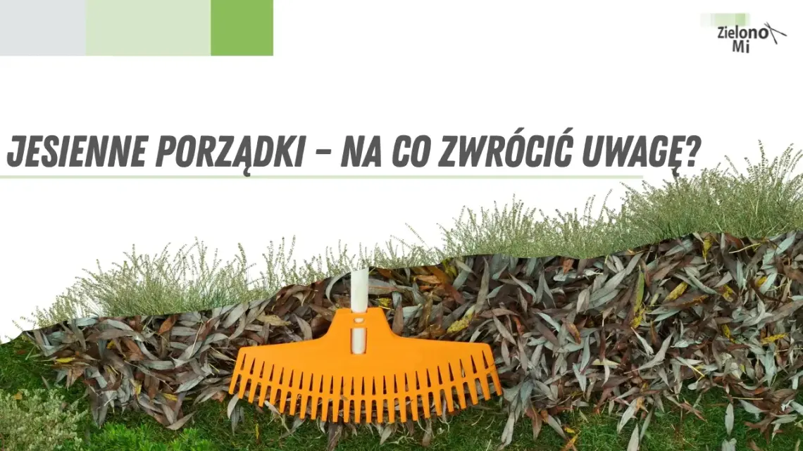 Zielono mi! - liście, zbierać czy zostawiać w ogrodzie? Zielono mi! - liście, zbierać czy zostawiać w ogrodzie?