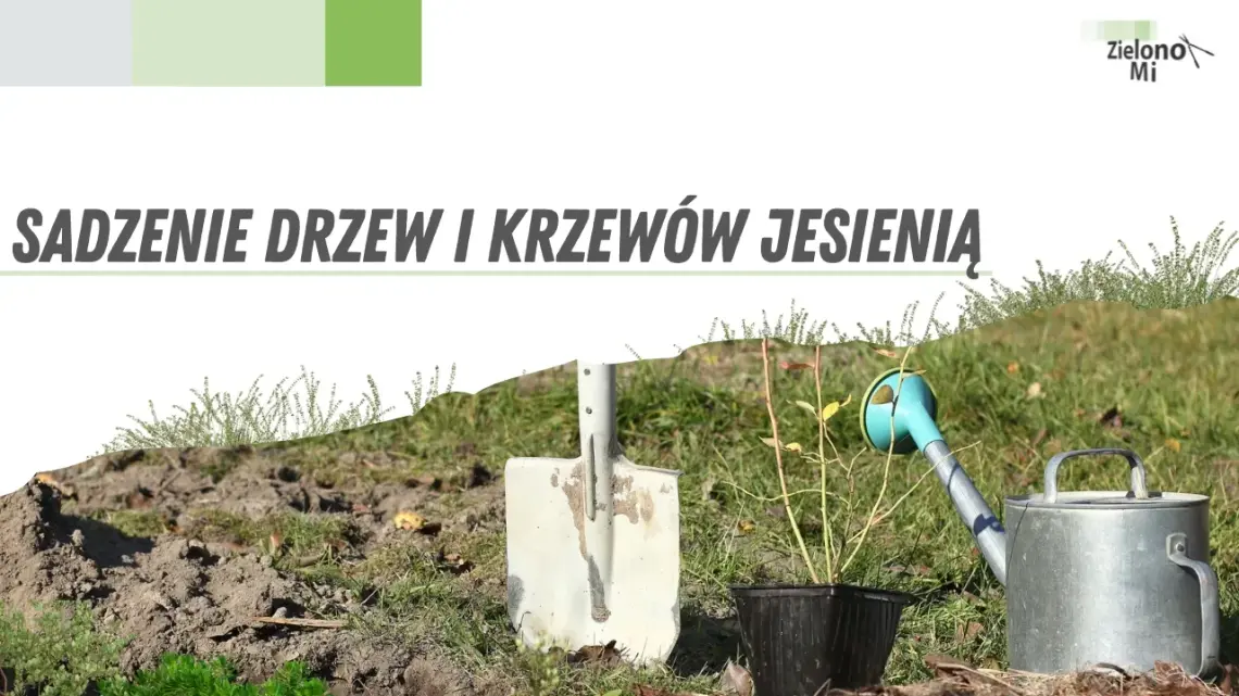 Zielono mi! - Sadzenie drzew i krzewów jesienią Zielono mi! - Sadzenie drzew i krzewów jesienią