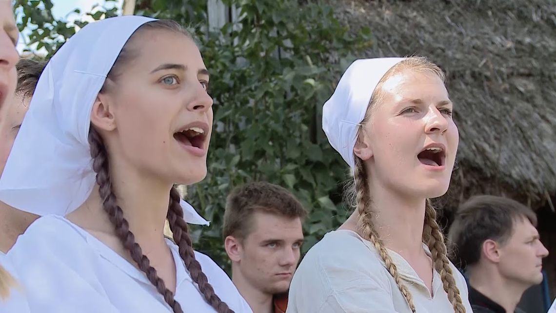 Żniwa w Sierpeckim Skansenie