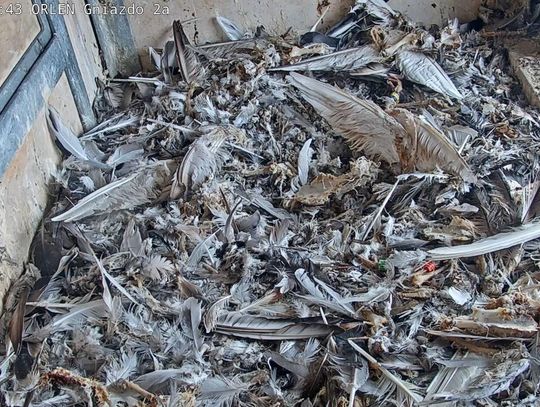 przed sprzątaniem.jpg